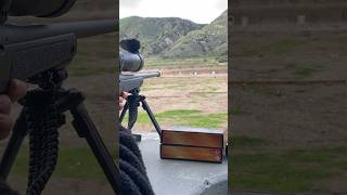 Bergara HMR pro 300 win mag bergara 300winmag hunting [upl. by Ethelstan]