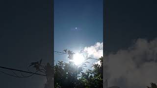 Today moonlight and sunlight morning 900 am pleasesubscribemychannel 🙏 [upl. by Mcnully]