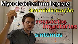 Mycobacterium leprae  Curso de bacteriologia  Medicina passo a passo [upl. by Emmit]