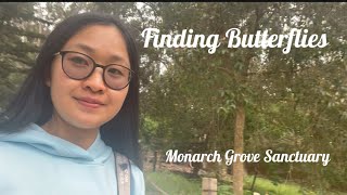 Finding Butterflies 🦋 Monarch Grove Sanctuary  My childhood dream [upl. by Ronalda]