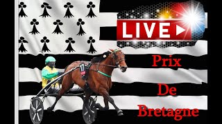 PRONOSTIC PMU QUINTE DU JOUR DIMANCHE 21 NOVEMBRE 2021 A PARIS VINCENNES LIVE [upl. by Guise436]