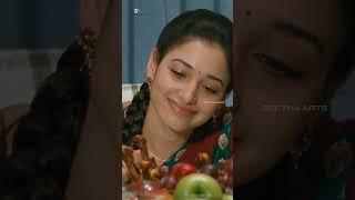 100 Love Movie Scenes  nagachaitanya tamannaah dharmavarapusubramanyam  comedyshorts shorts [upl. by Troxell387]