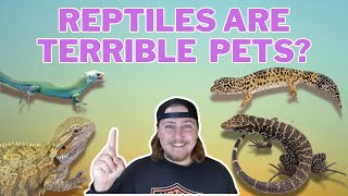 Reptiles Are Terrible Pets [upl. by Yrruc]