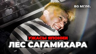 Ужасы Японии Инцидент в Сагамихаре [upl. by Airotkciv584]