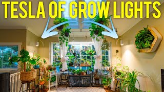 THESE Are The Best Grow Lights for Indoor Plants Made in America [upl. by Douty]