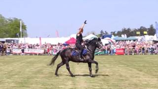 ATKINSON ACTION HORSES 2016 [upl. by Ardnoet]