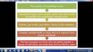 Organizational Behavior Chapter 9 [upl. by Nolra]