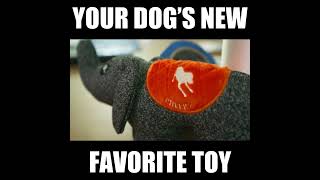 MilitaryGrade Dog Toy Built To Last [upl. by Retsila]