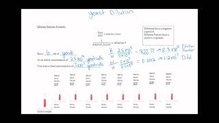 How to do Yeast cells dilution formula [upl. by Charlean]