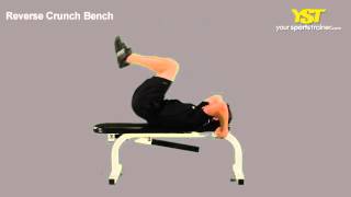 Reverse Crunch Bench Exercise [upl. by Llerdnod654]