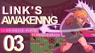 Guide vidéo  Link’s Awakening DX – Partie 3  Le Marais des Anémones [upl. by Iaverne]