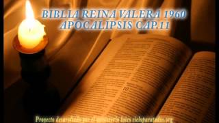 Biblia HabladaBIBLIA REINA VALERA 1960 APOCALIPSIS CAP 11 [upl. by Armyn]