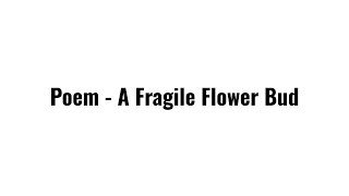 Poem  A Fragile Flower Bud [upl. by Candace]