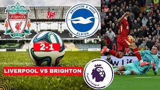 Liverpool vs Brighton 21 Live Stream Premier League Football EPL Match Score 2024 Highlights Vivo [upl. by Xed]