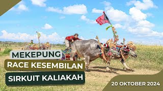 MEKEPUNG KALIAKAH RACE KE SEMBILAN 2024 [upl. by Slavin]