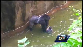 Moms 911 call at zoo Hes dragging my son I cant watch this [upl. by Pickard881]