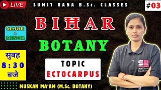 Lt03 Ectocarpus  Botany 1st Semester  Muskan Maam [upl. by Arema814]