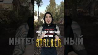 Интерактивный стрим по STALKER [upl. by Koh288]