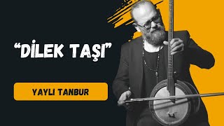 Dilek Taşı  Yaylı Tanbur  Ömer Göktepeliler [upl. by Euqram891]