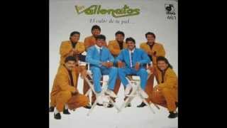 Los Vallenatos De La Cumbia  A Las Tres 1992 [upl. by Ennoirb]