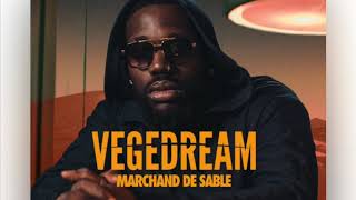 Vegedream  Rentrer Parole [upl. by Senzer]