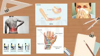 IMPORTANCE OF ERGONOMICS IN THE WORKPLACE [upl. by Atter]