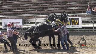 Festival country st antonin Tire de chevaux 9000 lb 18 Juin 2017 [upl. by Ciapha]