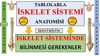 2İskelet Sistemi Anatomisi  İskelet Sisteminde Temel Olarak Bilinmesi Gereken Tıbbi Terminoloji 2 [upl. by Layman]