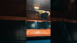 POWER OF REBZYYX111 therian therianthrophy trampolinepark shorts cringe fyp catmask [upl. by Enrica375]