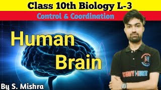 Human Brain Class 10th  Control amp coordination L3  Chapter1 By SMishra  CBSE NEET [upl. by Icnan]