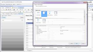 Input Controls on Business Objects 31 [upl. by Jacobo]