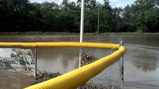 Oriskany Little League Field Flooded [upl. by Annij]