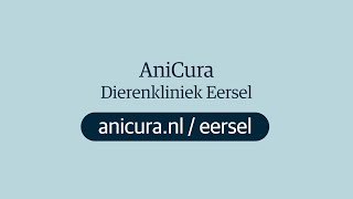 Dierenkliniek Eersel  AniCura [upl. by Noside]