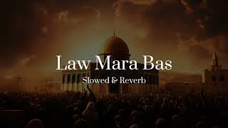 BiGSaM  لو مرة بس  Slowed amp Reverb  Law mara bas [upl. by Llehsor74]