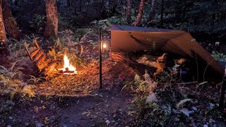 CAMPING in the rain exposed to nature – Bushcraft Trip [upl. by Bonn338]