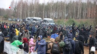 More Migrants Arrive at PolandBelarus Border Amid Rising Tensions [upl. by Barlow628]