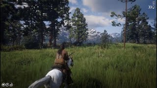 Red Dead Redemption 2 Horse Hunting No Dead eye [upl. by Nagard]