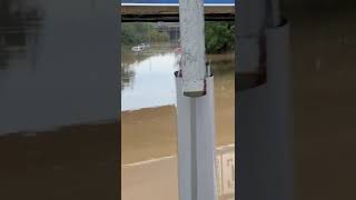 Alluvione in EmiliaRomagna situazione critica a Borgo Panigale [upl. by Meridel]