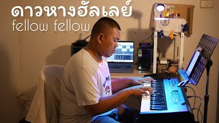 fellow fellow  ดาวหางฮัลเลย์ Halley’s Comet  Piano cover [upl. by Lleynod]