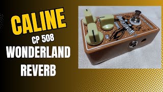 Caline CP 508 Wonderland Ambient Reverb [upl. by Silda]