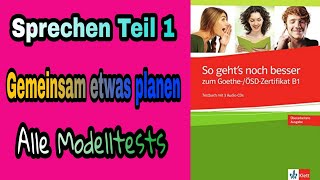 Goethe Zertifikat B1  Gemeinsam etwas Planen 100 mündlich bestehen  So gehts noch besser B1 [upl. by Llehcsreh]