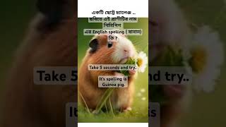 puzzling or confusing english spelling  daily used words  Guinea pig [upl. by Antoine]