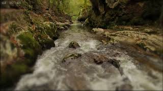 Relaxing Rain amp Soothing River Sounds Near a Beautiful Waterfall in the Rocky Mountains  10 Hours [upl. by Mercedes277]