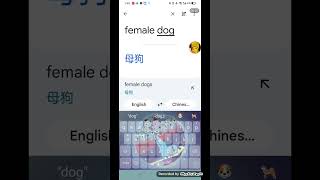 Google Translate nuts [upl. by Refynnej]