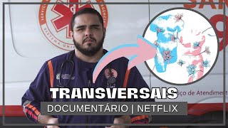 TRANSVERSAIS Netflix  Você precisa assistir esse documentário  Análise sem spoilers [upl. by Noslrac]