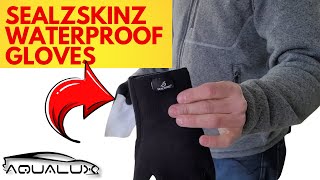 Seal Skinz Waterproof Gloves  Best Waterproof Gloves For Auto Detailing In 2021 [upl. by Killarney287]