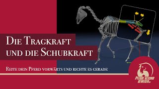 Tragkraft und Schubkraft  Reite Dein Pferd Vorwärts und richte es gerade [upl. by Neved]