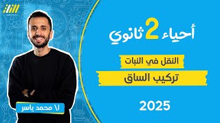 احياء تانيه ثانوى الترم الاول 2025  النقل في النبات احياء تانيه ثانوي  تركيب الساق  محمد ياسر [upl. by Artemisia844]