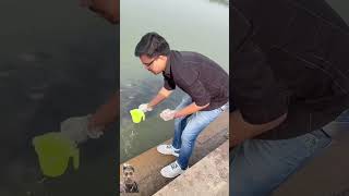 love यक fishing fish funny vlog song music bollywood hindisong [upl. by Siram]