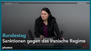 Bundestagsdebatte zu Sanktionen gegen das iranische Regime am 250424 [upl. by Rudelson]